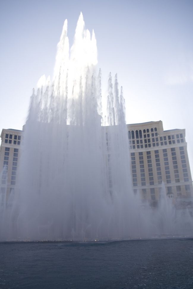 場所を移動して、鑑賞しまくりです！<br /><br />ちなみに一眼カメラなどを構えて、待っていると、<br />「次はいつショウ始まります？」<br />と色々な方から訊かれます。<br /><br />英語が苦手な人は、ご注意を。