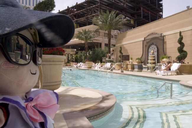 5月とはいえ、日差しは強いですよ。<br />わふー。