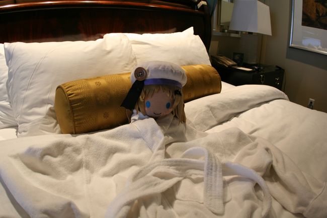 部屋に戻って、シャワーを。<br /><br />こまめに、湯船に浸かり、足の疲れを癒しました。