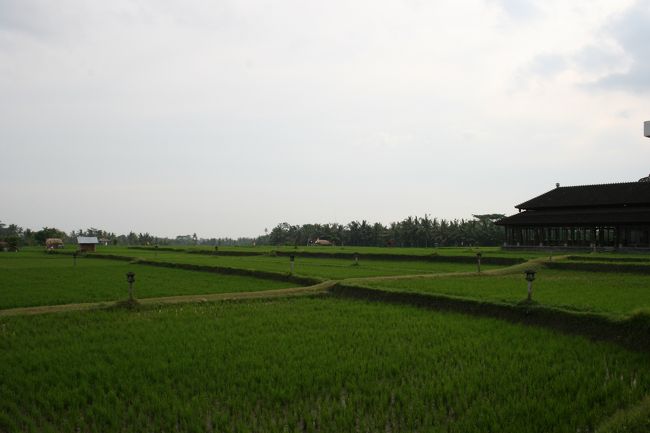 見渡す限りのライスフィールドを見ながらマッサージ。