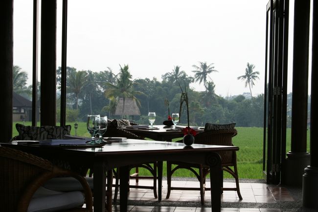 朝食はライスフィールドを眺めながら田んぼのど真ん中でのお食事　カレーと生絞りのフルーツドリンクがお勧め。