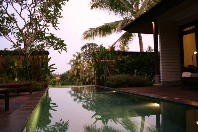 ライトアップされるとなお綺麗。夜も泳げるんです。