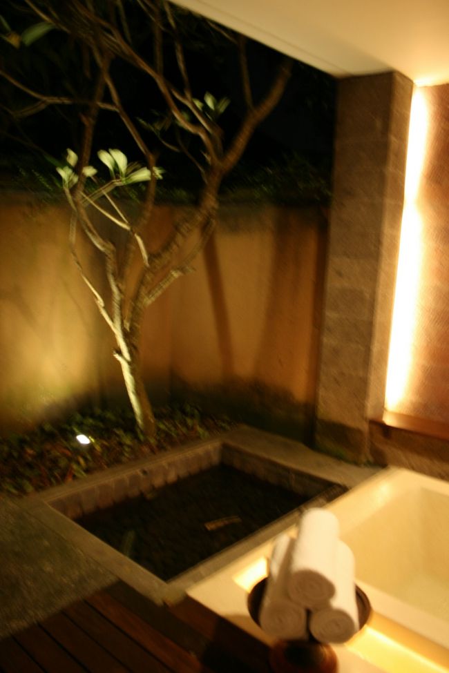 フランジパ二の木が植わっているバスルーム