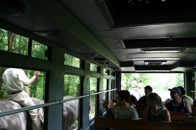 サファリツアーにお出かけ