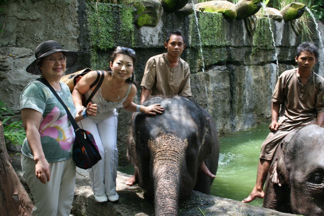 象さんに餌やり。10000Rpぐらいでにんじんを沢山あげることができます。かなり食いしん坊。