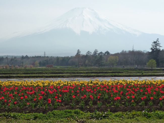帰りも御殿場に乗ったところで事故渋滞にあいましたがまあ行きの30kmの渋滞に比べればかわいいもんです。<br />またどっかにサイクリングに行きたくなりました〜