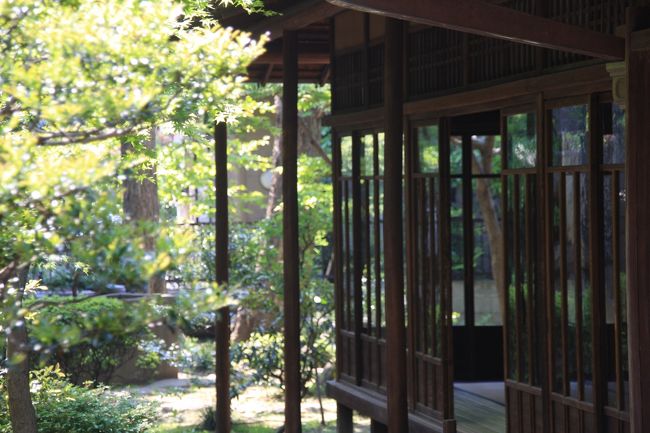 大正浪漫漂う千駄木のお屋敷 旧安田邸 東京の旅行記 ブログ By ぬいぬいさん フォートラベル