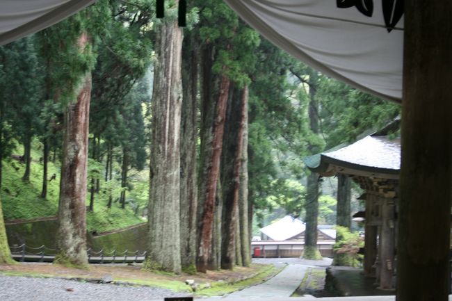 森に守られた聖地というべき永平寺。厳かな空気が支配しています。