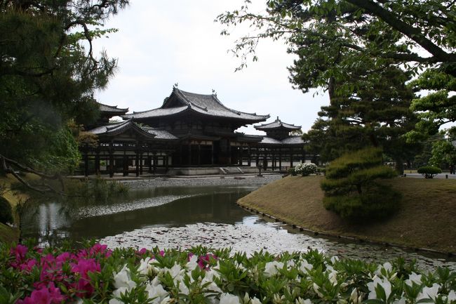 宇治平等院　悠久の時を経て、お庭が創建当時のように復元されとても綺麗になっていました。
