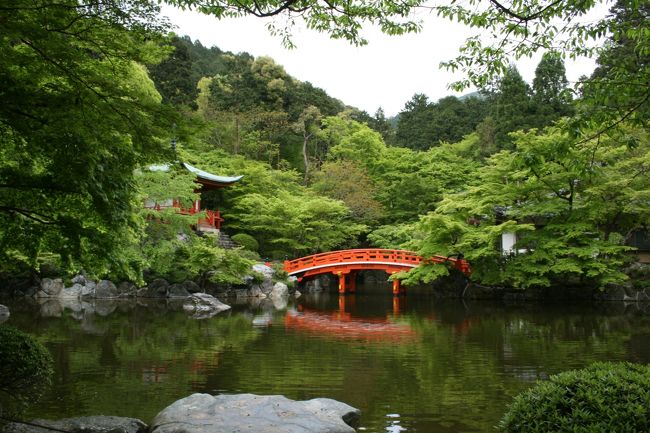 醍醐寺の庭園　新緑が美しい。ここは醍醐寺の一番奥。入り口から相当歩きました（ｗｗｗ