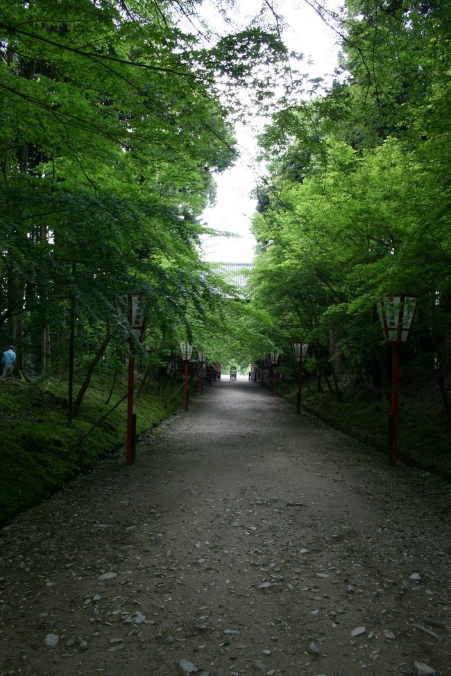 醍醐寺の参道。桜の季節には多くの人でにぎわうことでしょう。