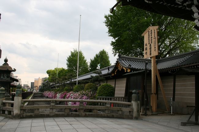 西本願寺のお堀につつじが綺麗に咲いてました