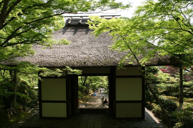 常寂光寺　ひっそりとしています