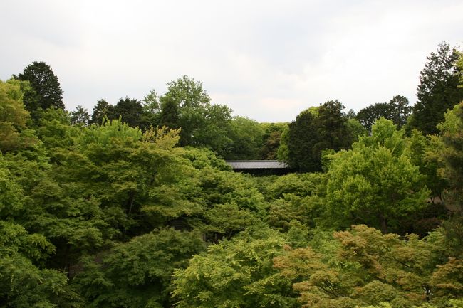 東福寺からの景色。渓谷が境内にあるなんて驚きです。次回は紅葉の時期に。