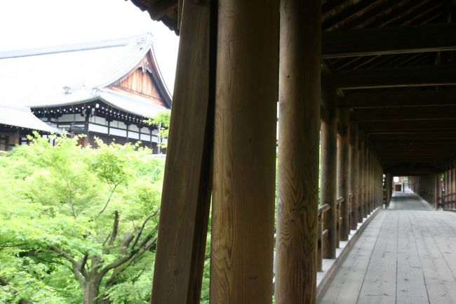 東福寺の天橋