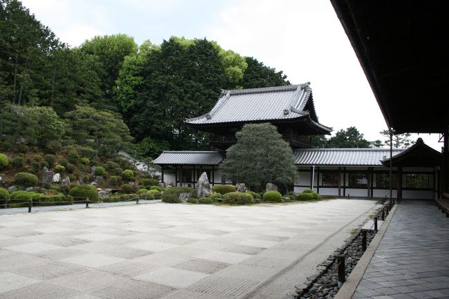 東福寺のお庭