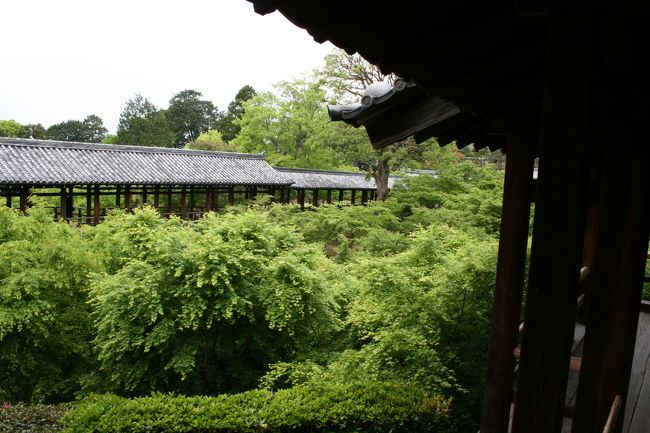 東福寺の渓谷