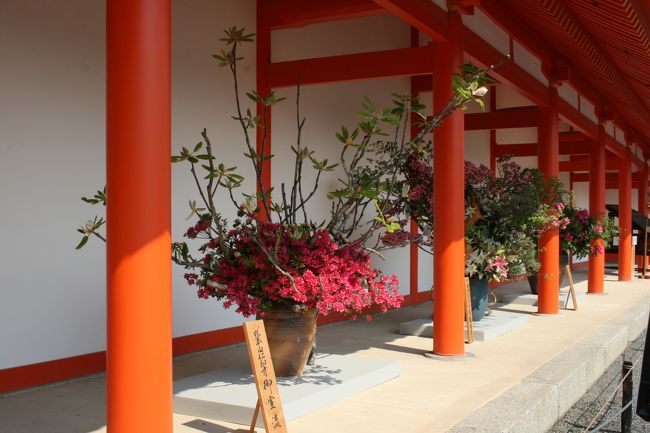 仁和寺、大覚寺、泉涌寺などの流派による生花　見事です