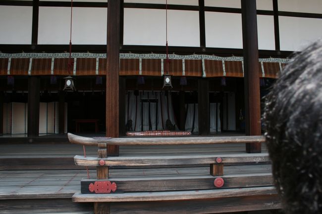 昔の建てなので少し薄暗いです。