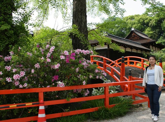 美しい下賀茂神社のお花