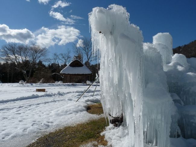 ←西湖野鳥の森公園<br /><br />富士五湖をそれぞれ見て周ろうという事でしたが<br />山中湖は少し方向が違うので今回は見送り。<br /><br />富士山頂にはあいにく雲が掛かっていたので<br />特に目的も決めないで湖畔めぐり・・・。