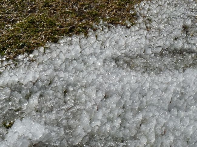 ←霜柱のようですが、雫が凍ったらしいです。<br />