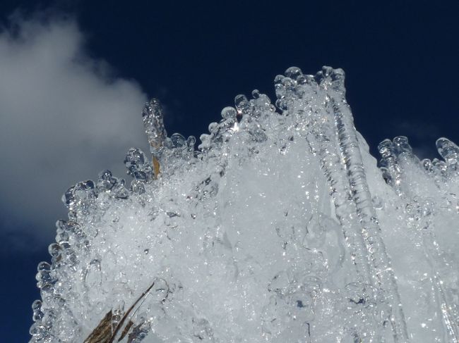 ←ニョロニョロのかたまりみたい。<br /><br />