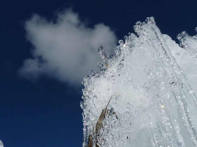 ←青空に映えますね〜。