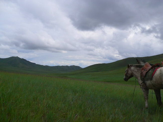 こんな草原を馬で移動します。