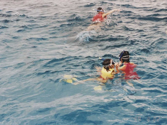 グレートバリアリーフでシュノーケリング。<br />とてもきれいな海の中、熱帯魚や珊瑚など自分の目で見ることができました。