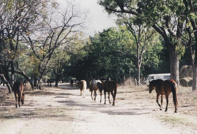 ファームステイで１泊し、乗馬や農場ライフを経験しました。