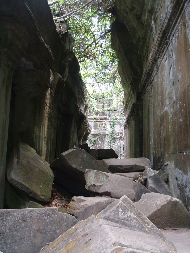 カンボジアのベンメリア！！<br />天空の城ラピュタのモデルになったと言われてますね。<br />遺跡を散策できるのがアドベンチャーでした。