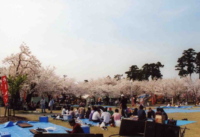 広大な敷地なので、前日からの場所取りなんて必要ありません！