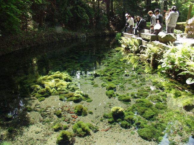 白川水源でしょ