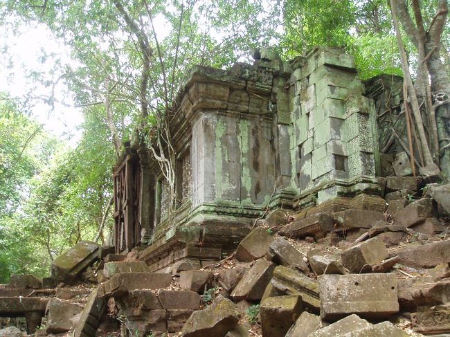 ベンメリア<br /><br />ラピュタ〜