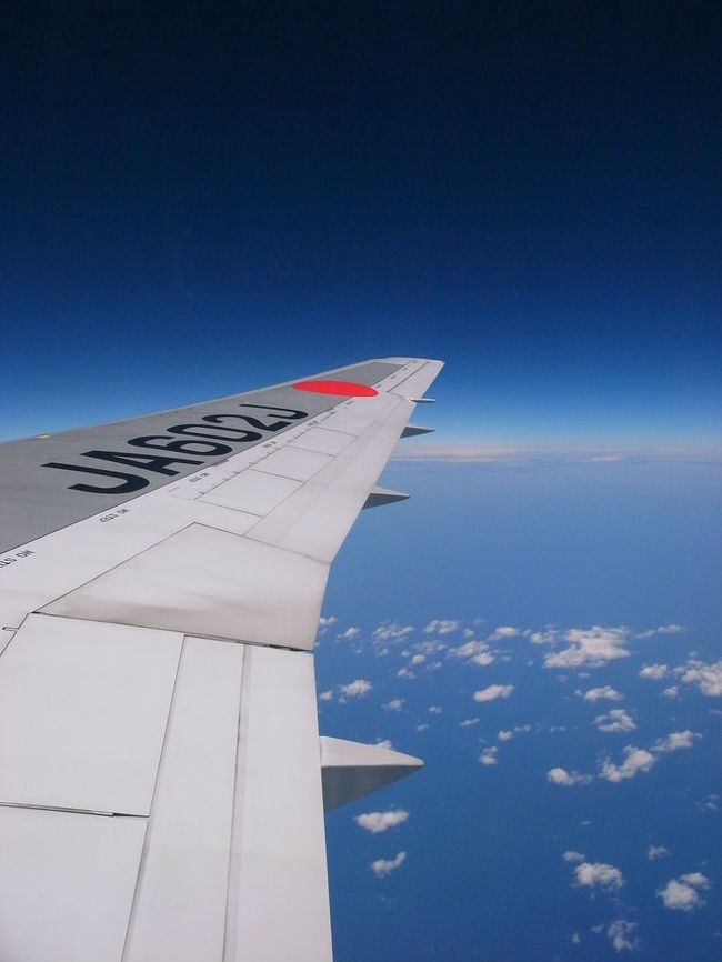 今回も、JAL701便(朝10時発)。<br /><br />以前はキャセイが大好きで、<br />JALのマイレージクラブに入っていながら、<br />キャセイばかり乗っていたけど、<br />JALのよさを、前の旅行で見直した。<br /><br />まず、エコノミーの窓側の席が全て2列席なので、<br />友達や家族と行くにはちょうどいいこと。<br />(キャセイは、3列標準なので、窓際を取ると、<br />知らない人が隣にくることが多い)。<br /><br />JALは2列席が標準、ということは、<br />それだけ席数もキャセイより少ないので、<br />到着後も、すぐに外に出られる。<br />(…ということは、スーツケースも<br />すぐ外に出てくる)。<br /><br />機内食はキャセイよりも量が少ないので、<br />(お楽しみのアイスクリームはないけど)、<br />着いた初日から、思う存分香港で食べられる♪<br /><br />機内の映画などが結構充実していて、<br />サービスが始まる時間も早いし、<br />機外へ出るまでやっているのは、すごい！<br />(イヤホン回収もないし。)<br />映画の字幕も日本語中心なのもうれしい。<br /><br />ＣＡさんが、感じのいい人が多い。<br /><br />香港発関空行きは、キャセイよりも<br />1時間早い出発時間で、香港好きには1時間でも<br />長くいたい気持ちはあるけど、<br />関空に着いてからは、1時間早い到着なだけで、<br />混雑度が全然違い、JAL便帰国だと、<br />帰りのシャトルバスもすいていて、<br />気持ちよく帰れる。<br /><br />…そんな感じで、今度行くときも、<br />JALにするつもり。