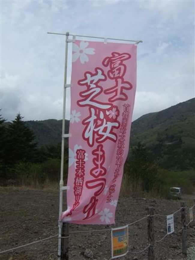 河口湖インターを下りて、本栖湖に向かって139号線を走りましたが、高速道路より混んででなかなかたどり着けない(T_T)<br /><br />途中この旗を見て会場はもうすぐかな！？ﾜｸﾜｸ"o(･ω･o))((o･ω･)o"ﾜｸﾜｸ と思ってから何十分経っただろう。。。<br /><br />この旗は駐車場にあったもの。<br />1000台の駐車場に入れるかドキドキでしたが、皆さん一日中いるわけではなく、結構回転してるので待てば入れました。<br />３キロ位離れたところに駐車場があり、シャトルバスも出てますがシャトルバスももれなく渋滞にハマるので会場の駐車場に止めたほうがいいかも。