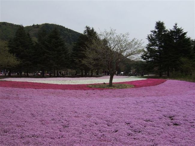 きれい♪<br /><br />人がたくさんいたので人を映さないように撮るのは至難の業<br />