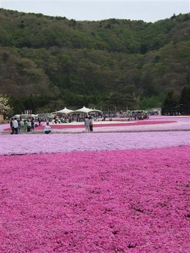奥のテントの方では富士山周辺のうまいものを集めた「富士山うまいものフェスタ」が開催中。
