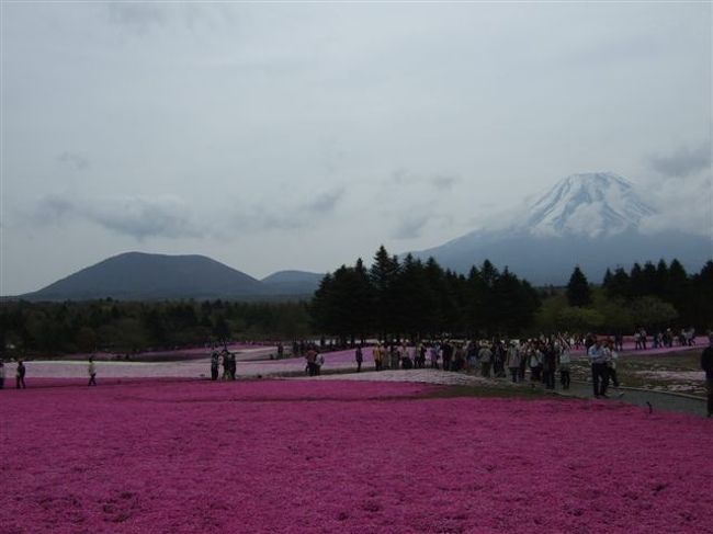 写真スポットが何箇所かありますが確かここもそうだったハズ。。。<br />でも人がたくさんいてすばやく撮る感じになっちゃった^^;