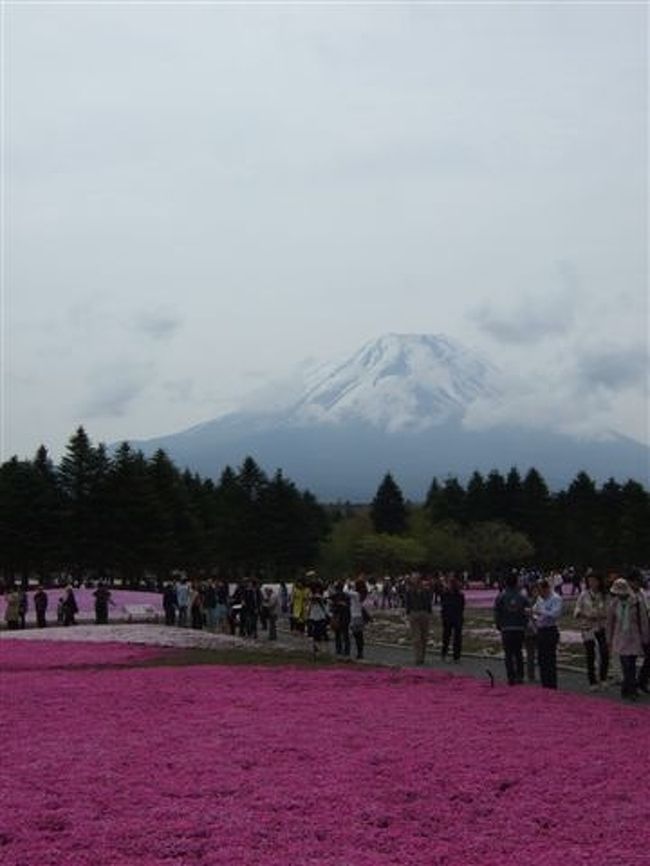 似たような写真ばかりなのでここから先は写真をお楽しみ下さい。<br />（コメントのネタが尽きたといえば尽きたので^^;）