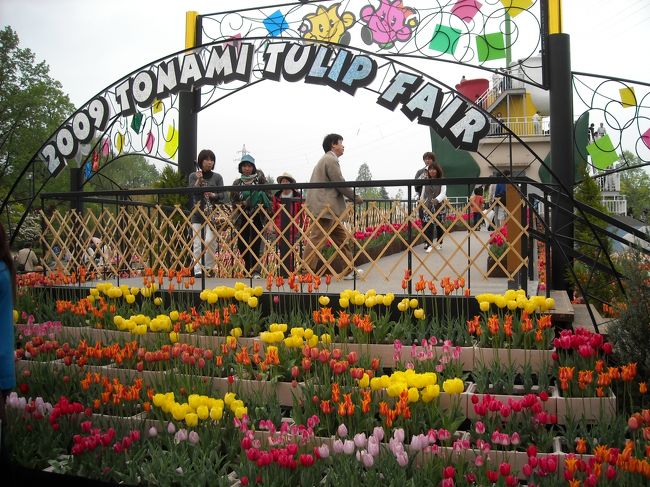 インターネット宿泊プラン＋割引チケット使用で一人１２０００円ほどで宿泊できました。連休なのにお値打ちにすみました。<br /><br />そして、結局、、本日は最初の予定どおり『砺波チューリップフェア』にやってきました。