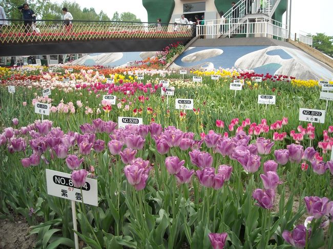 雨がチラついてます。<br /><br />そのためか？去年ほどの酷い混雑はなく、１１時過ぎに入場。<br />