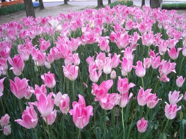 全部じっくり見るなら、３時間ぐらいはかかるんじゃないかしら、、。