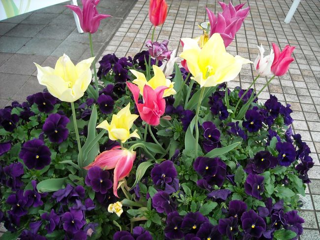 と、早めはやめの行動の甲斐あって、渋滞には全く巻き込まれず、自宅に４時頃着。無事帰宅でき、今年のＧＷも素敵な想い出ができました♪