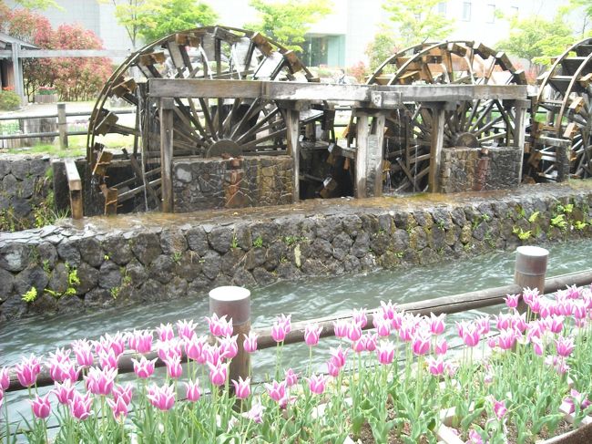 毎年なかなか良い写真が写せない、水車のあたり。