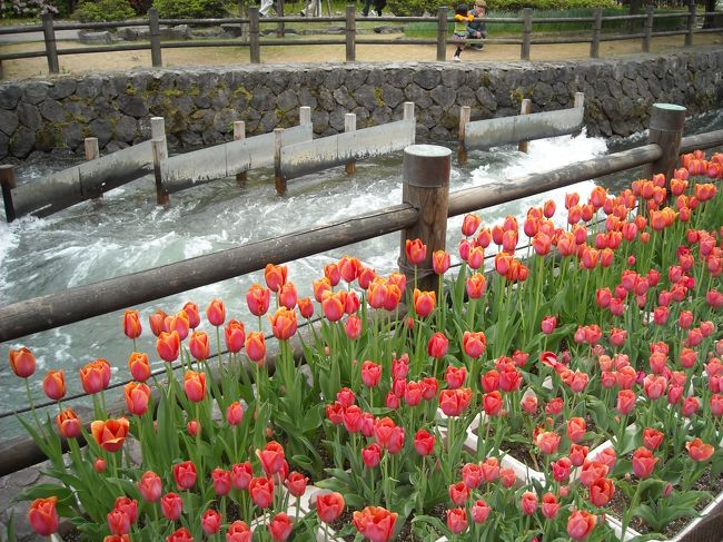 駆け足で見て、そろそろ３，４０分経過。ほんとは半日ぐらいじっくり見ていたいんだけど、、。そろそろ帰途へつくこと考えなきゃ。