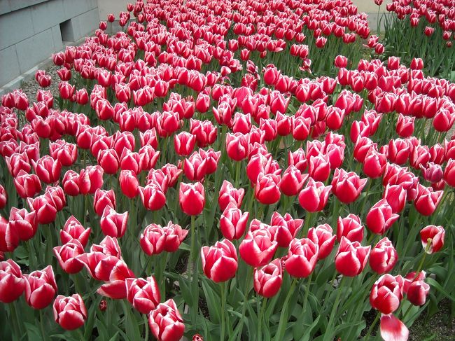 お気に入りのそうめんを土産&amp;ご当地氷見バーガーを食して、なごり惜しいけどさっそく帰途に向かいます。何しろ連休最終日。１０００円渋滞の影響が読めない<br />ので、最終日はここのみで退散。<br />