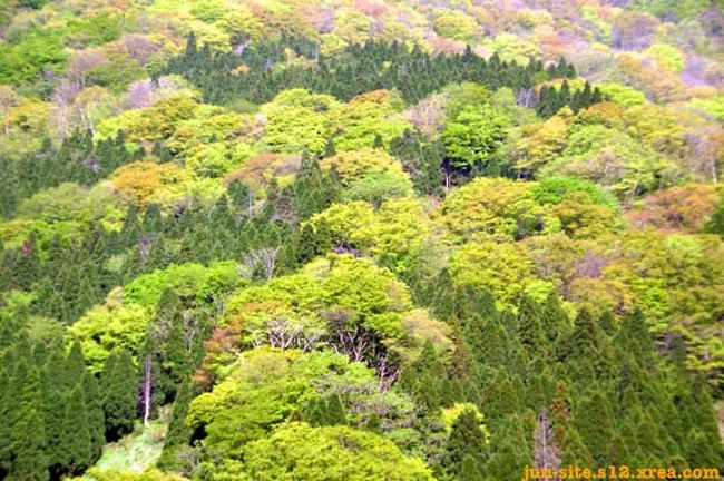 新緑が凄く綺麗な場所だったのが、印象的です。
