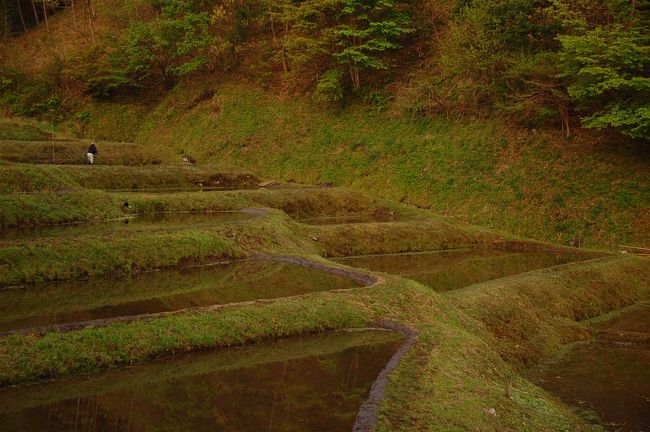 里山を求めて 国見と石畑の棚田 那須烏山 栃木県 の旅行記 ブログ By Ralphinさん フォートラベル 里山を求めて 国見と石畑の棚田 那須烏山 栃木県 の旅行記 ブログ By Ralphinさん フォートラベル